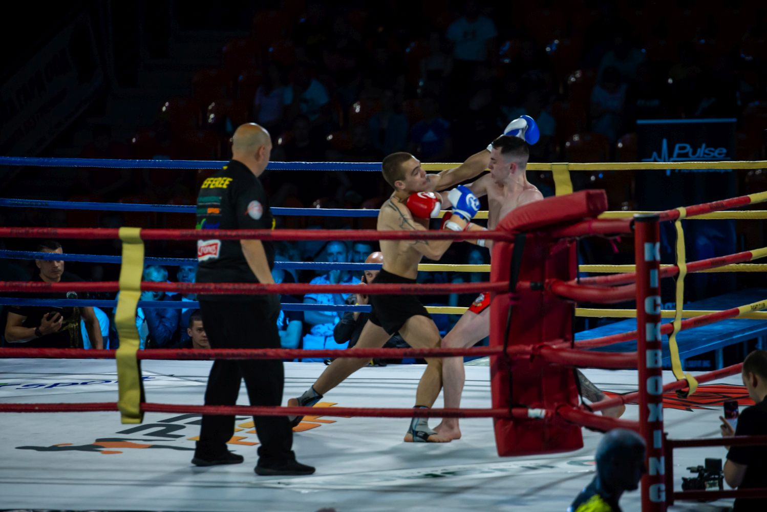 European Kickboxing Cup Plovdiv 2025